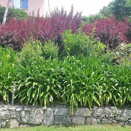 Elegant Beautiful Garden 아파트 칸느