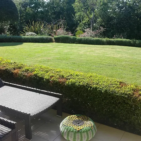 Elegant Beautiful Garden *