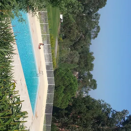 Apartamento Elegant Beautiful Garden Cannes