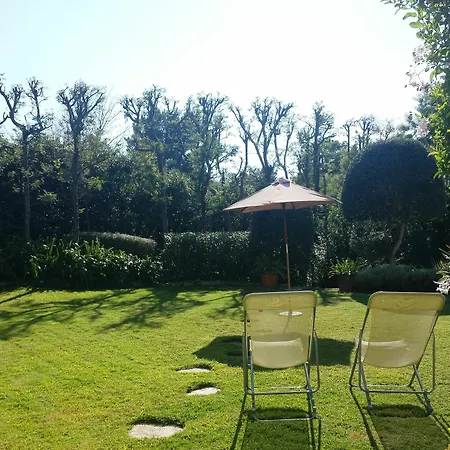 Elegant Beautiful Garden