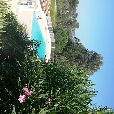Elegant Beautiful Garden Apartamento Cannes