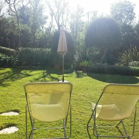 Daire Elegant Beautiful Garden Cannes