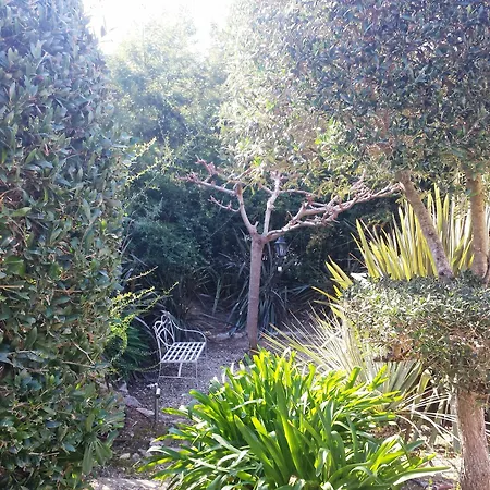 Daire Elegant Beautiful Garden Cannes